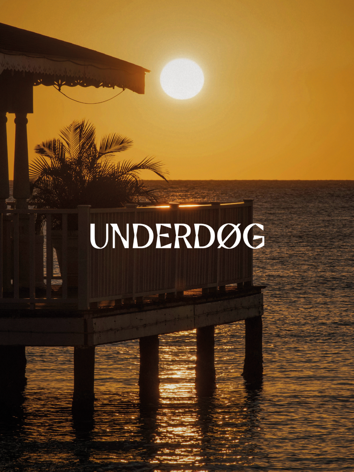 files/underdog_rum-gallery_eleven.png